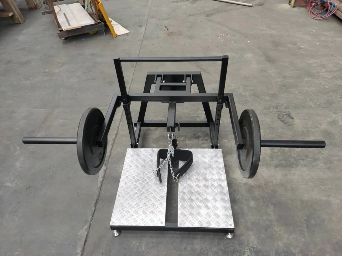 Belt squat - Image 1