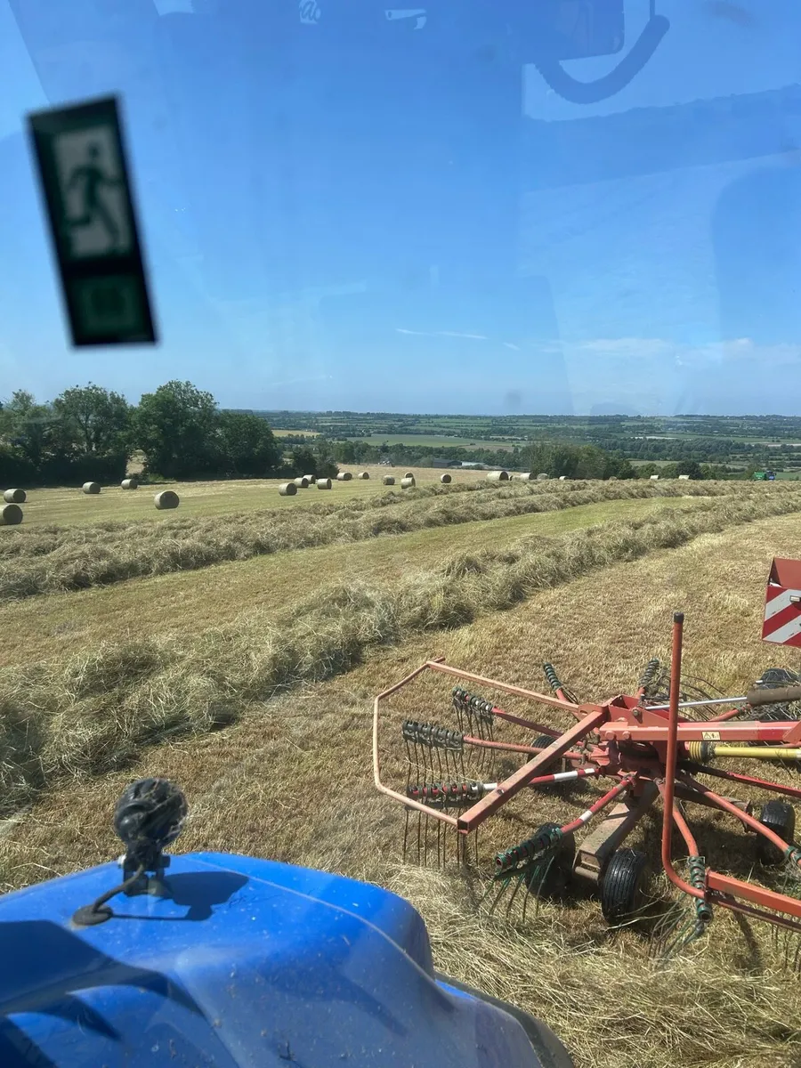 Quality hay for sale - Image 2