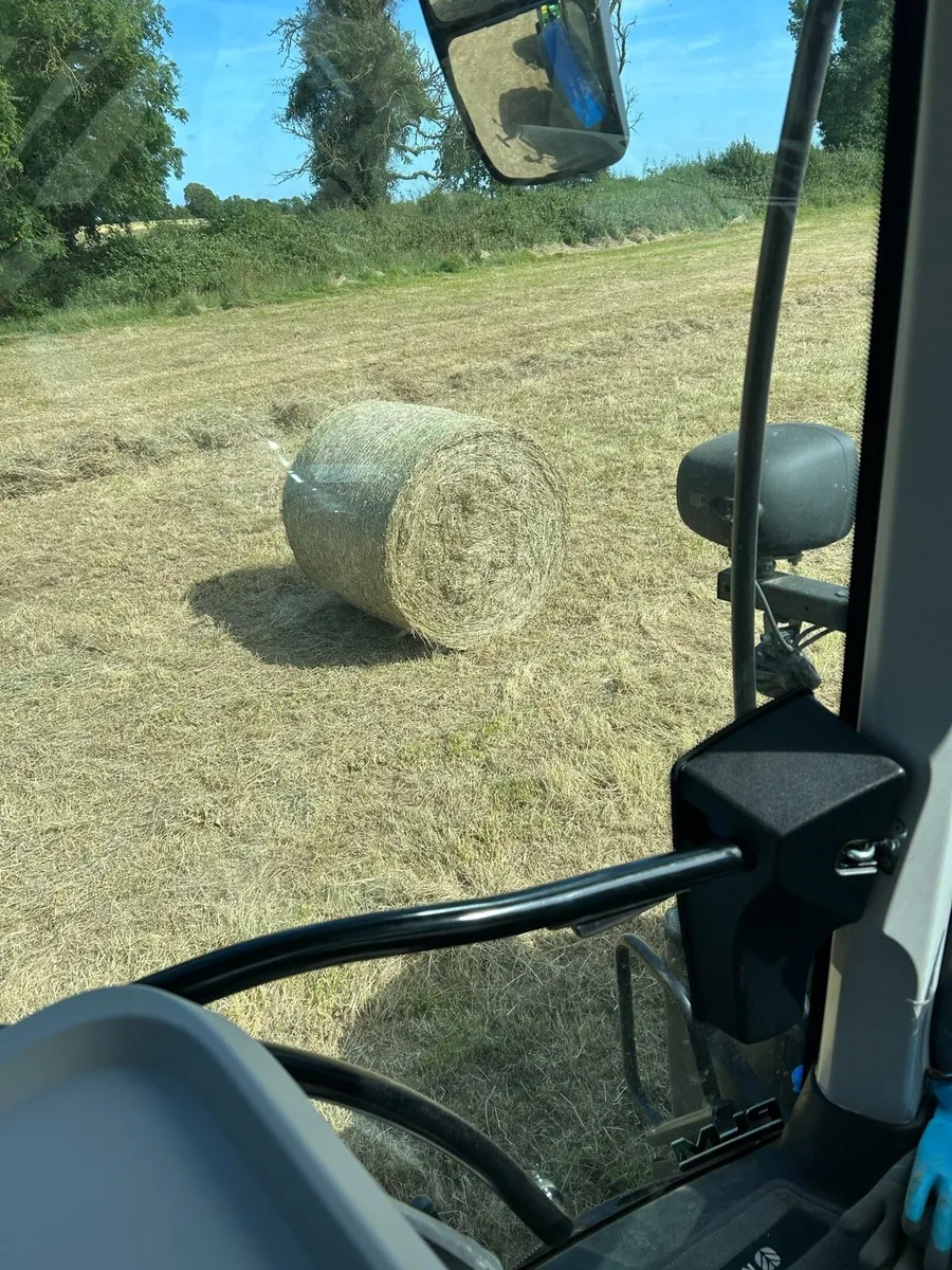 Quality hay for sale - Image 1