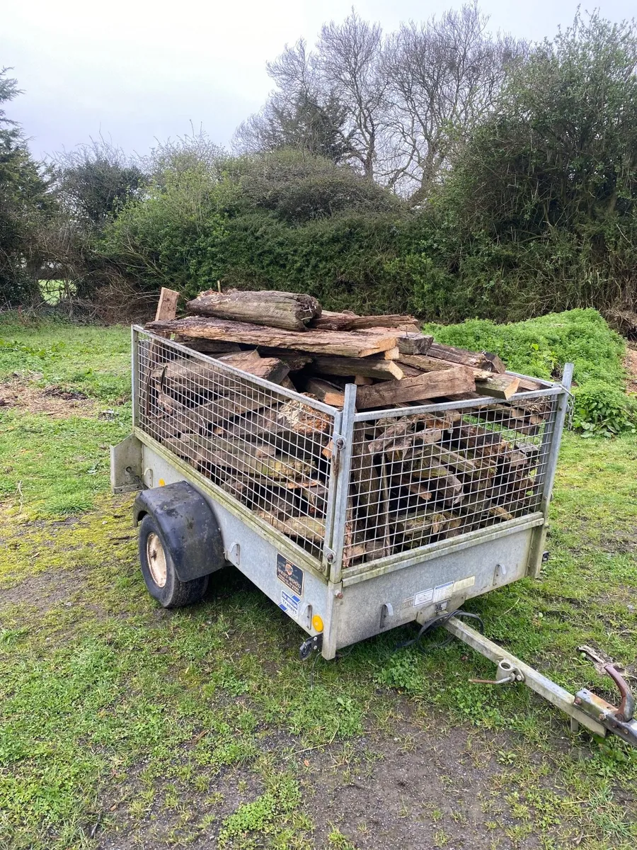 FREE - Old Arena fencing - Fire wood - Image 2