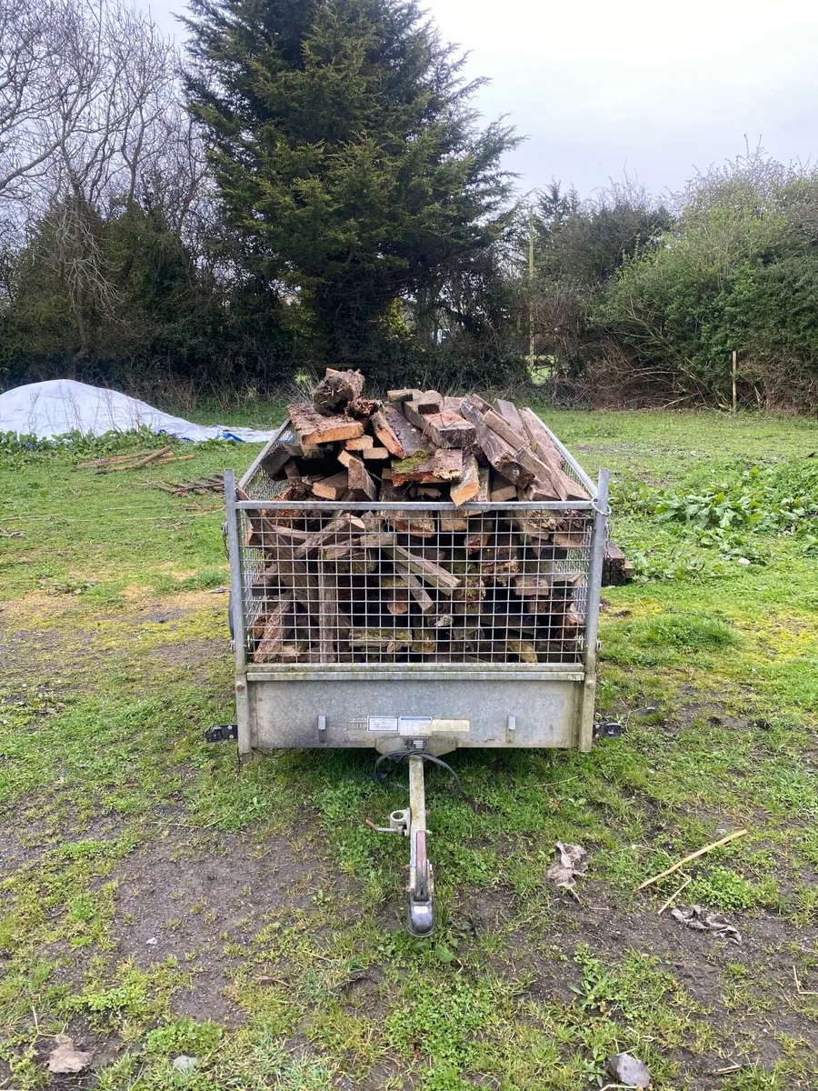 FREE - Old Arena fencing - Fire wood - Image 1