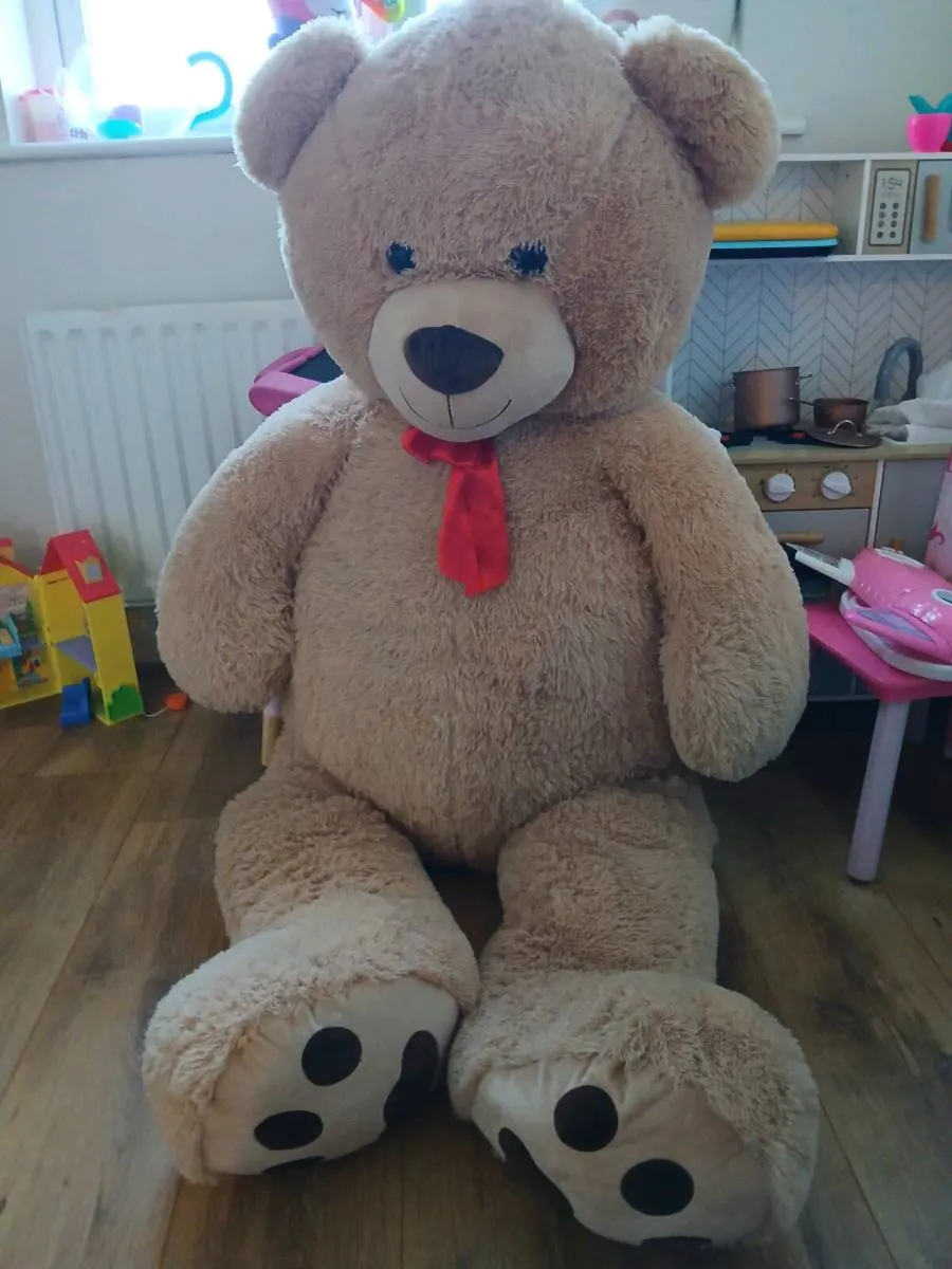 large teddy
