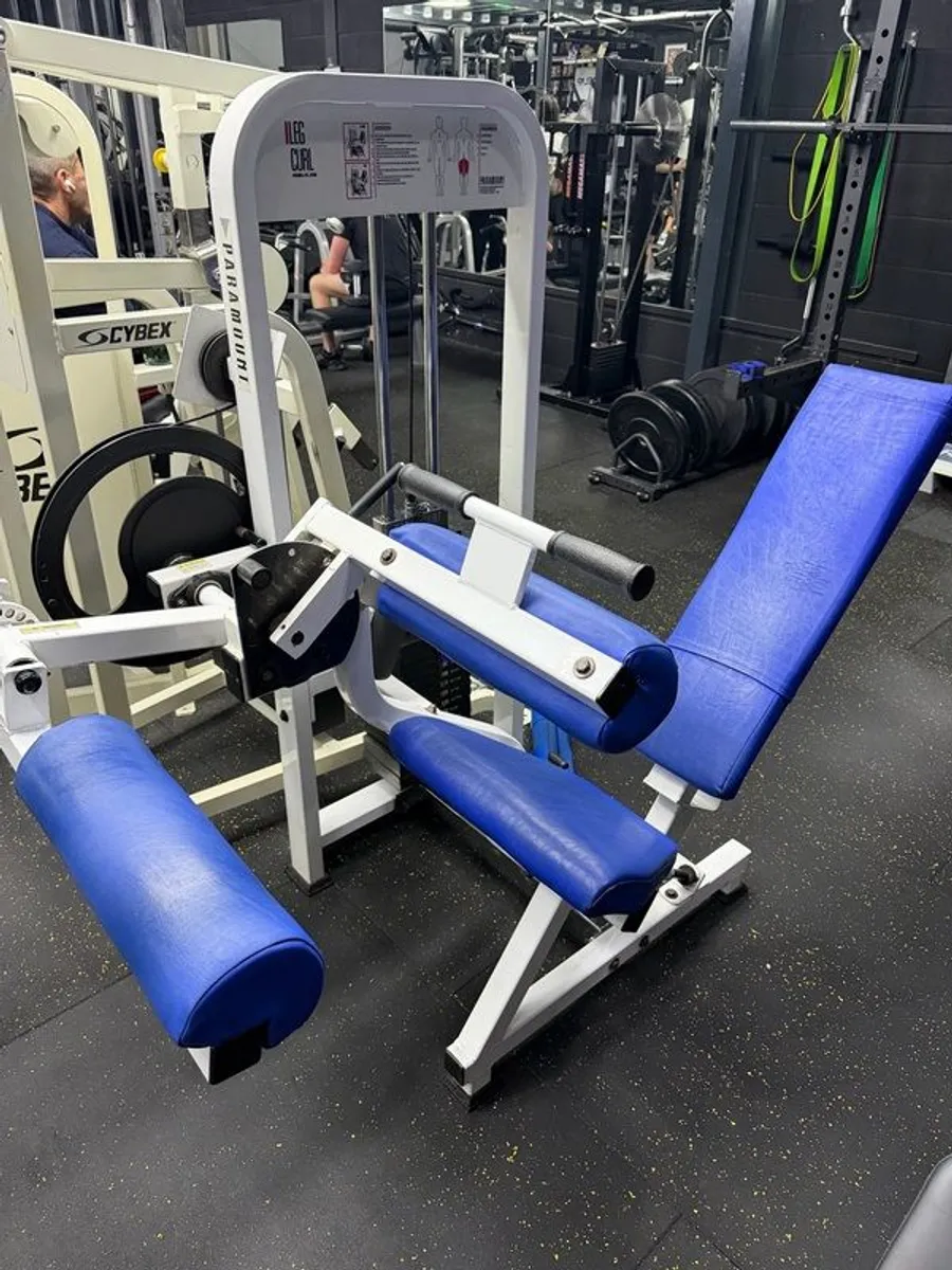 Paramount Seated Leg Curl - Image 1