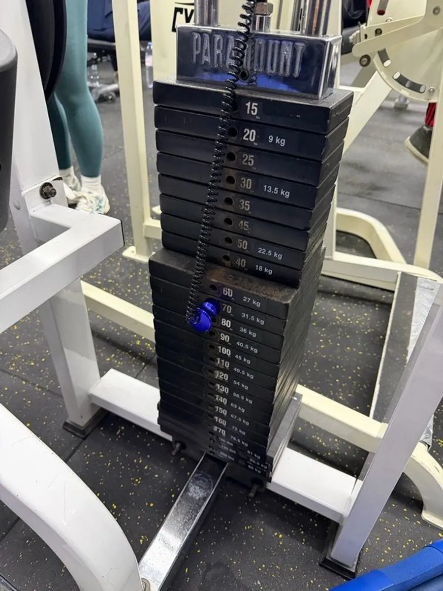 Paramount Seated Leg Curl - Image 2