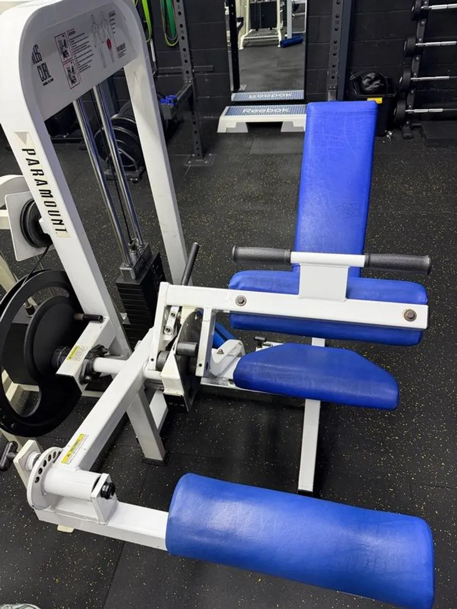Paramount Seated Leg Curl - Image 3