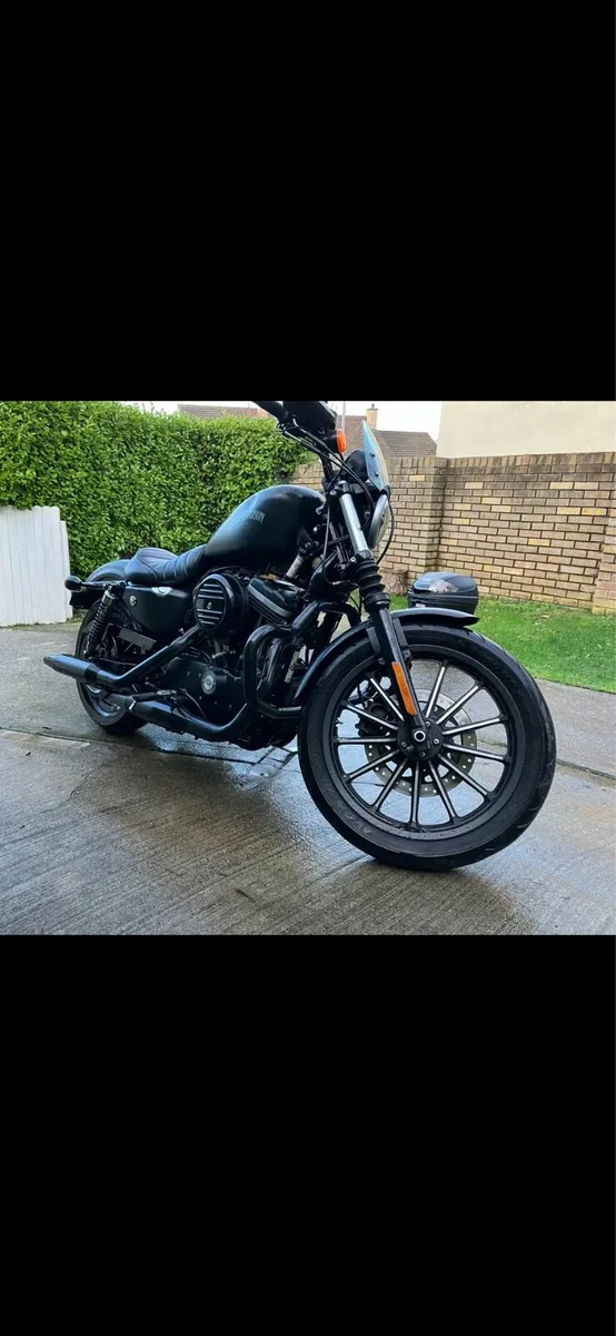 Harley Sportster iron 883 - Image 2