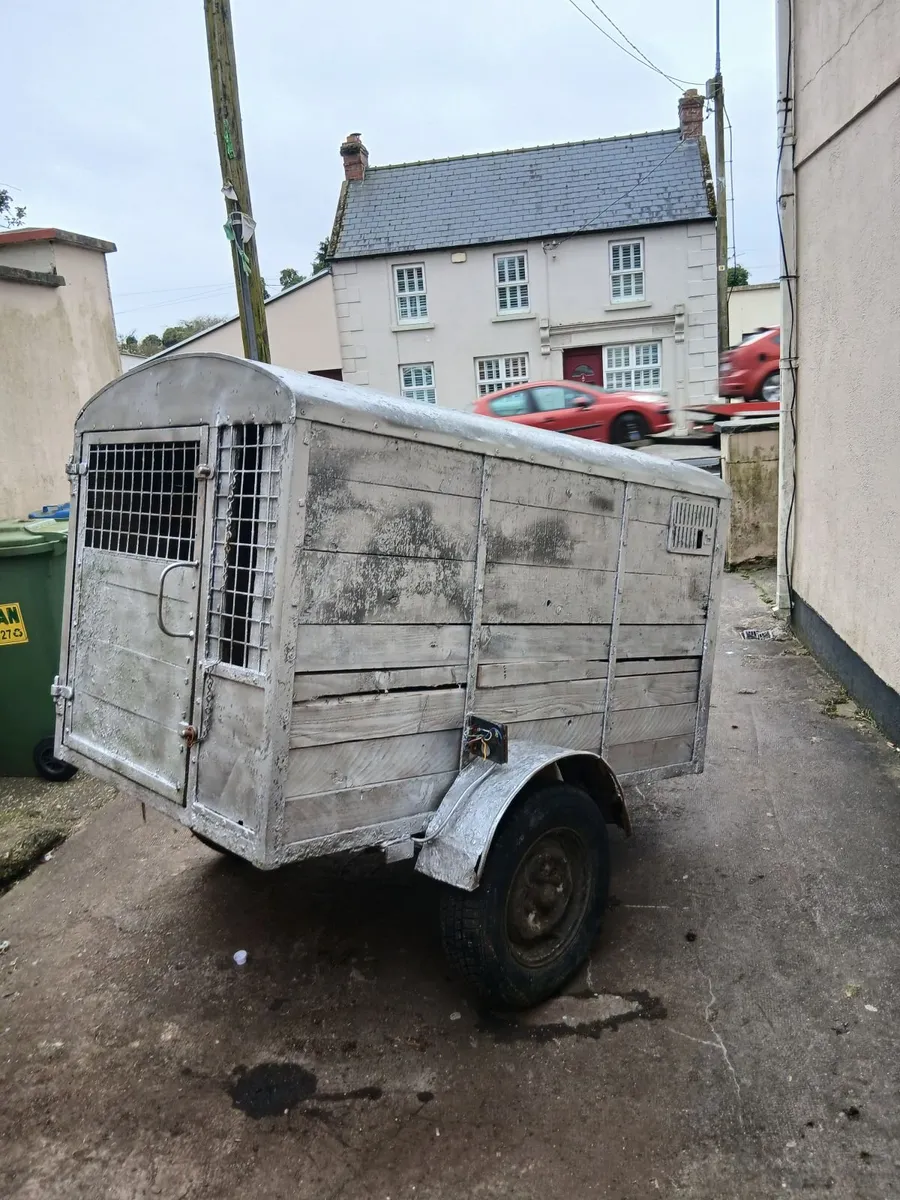 Big dog box for sale 350e no offers - Image 4