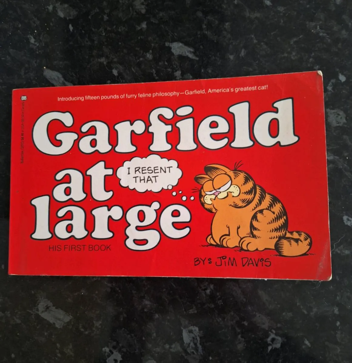 Vintage Garfield at Large His First Book - Image 1