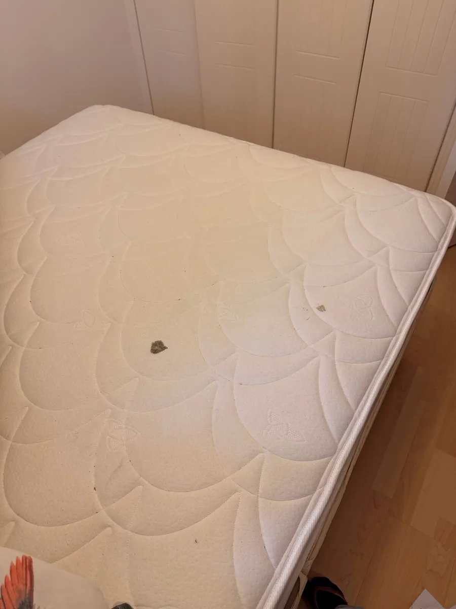 Double Mattress - FREE - Image 1