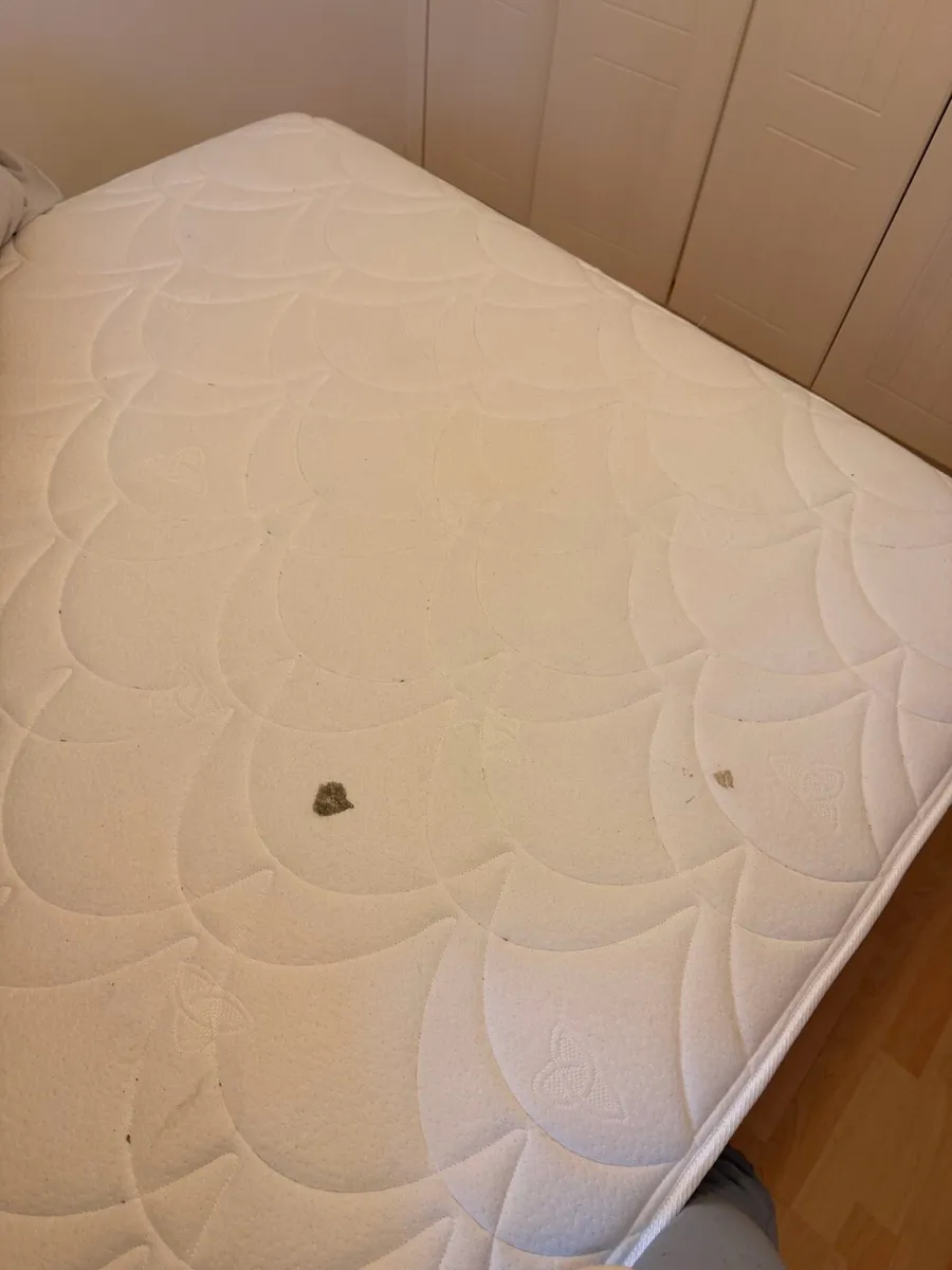 Double Mattress - FREE - Image 2