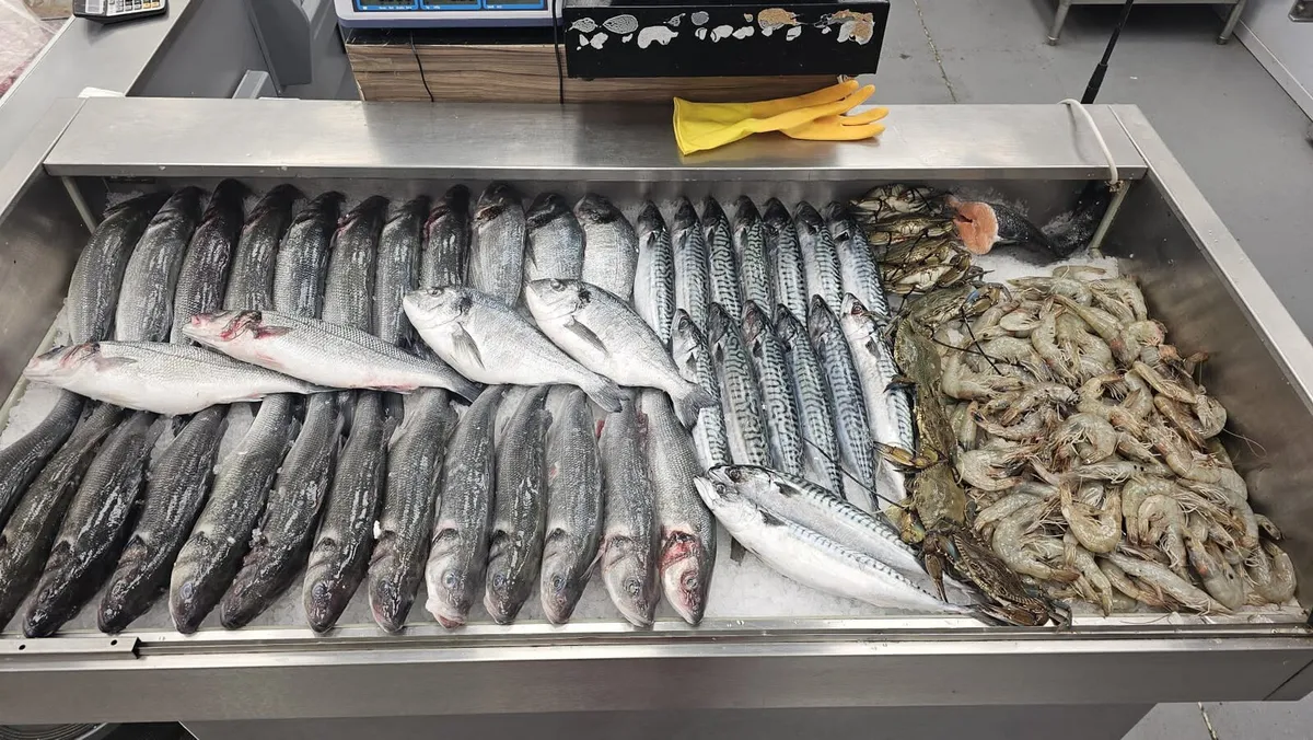 Fish display counter - Image 1