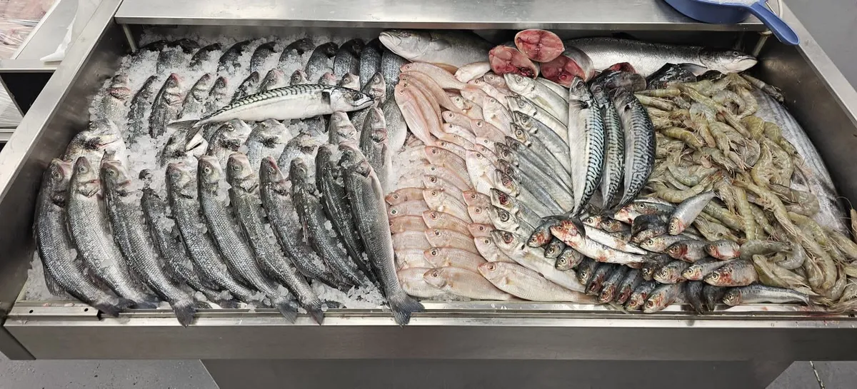 Fish display counter - Image 4