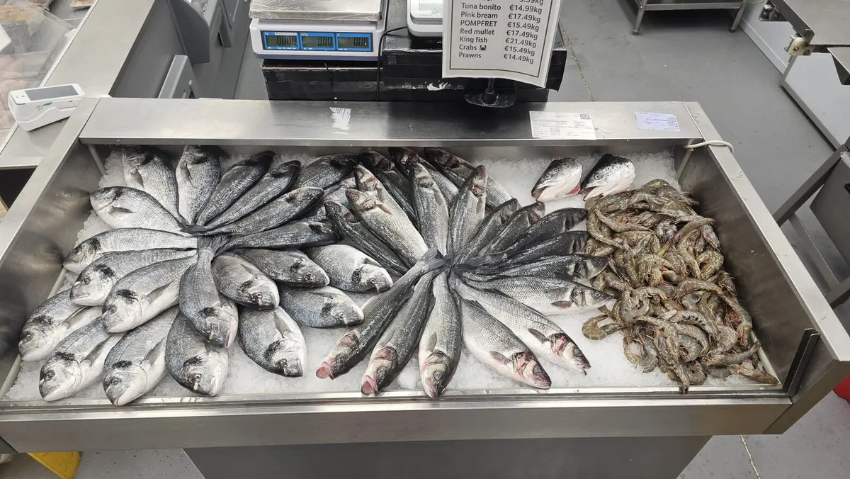Fish display counter - Image 2