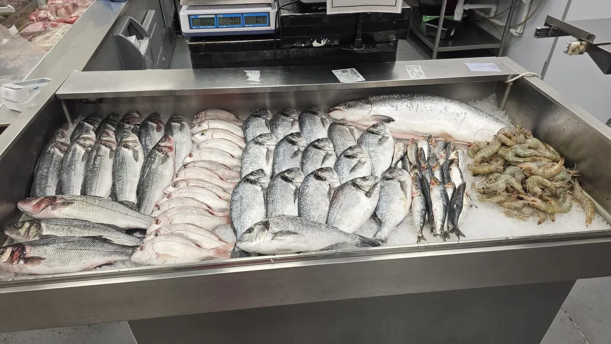 Fish display counter - Image 3