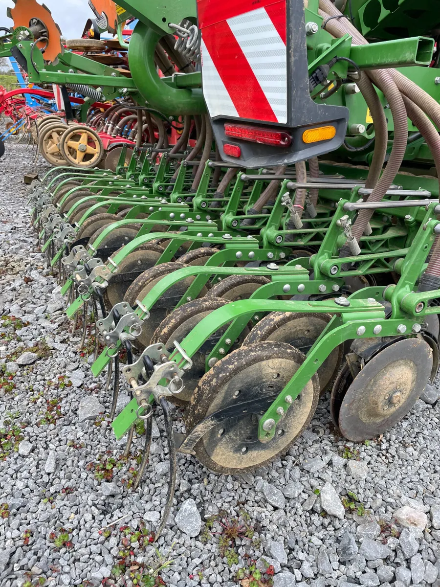 Amazone Centaya - Image 3