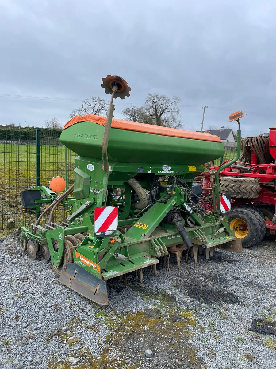 Amazone Centaya - Image 1