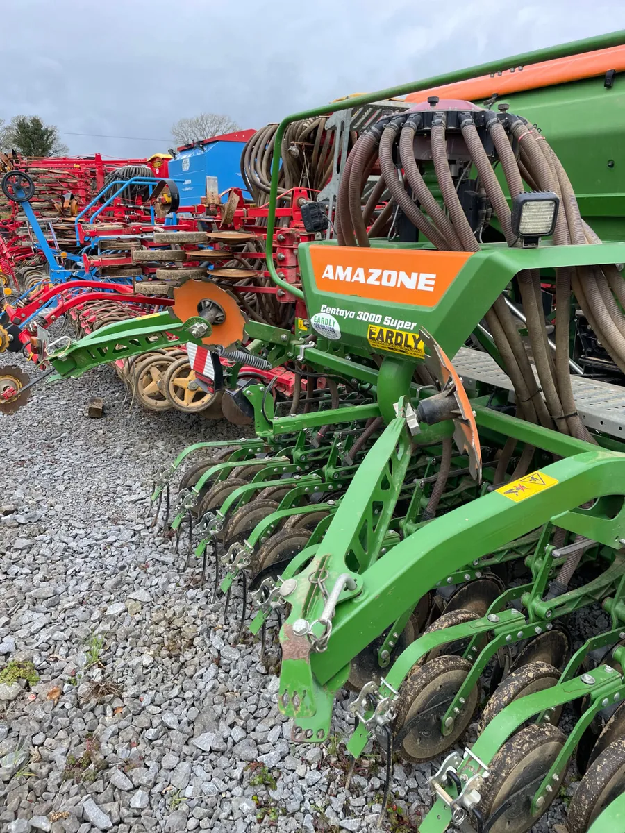 Amazone Centaya - Image 4