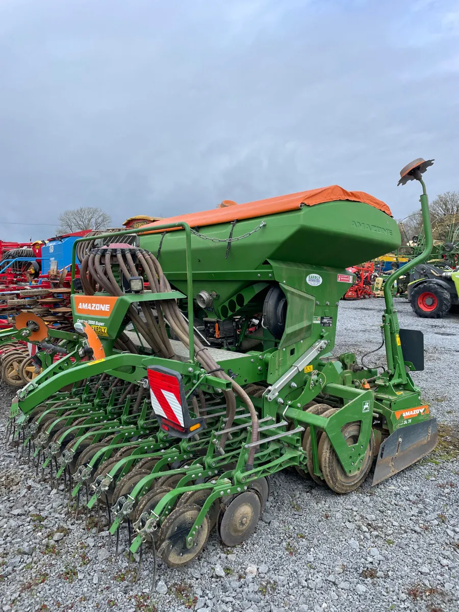 Amazone Centaya - Image 2