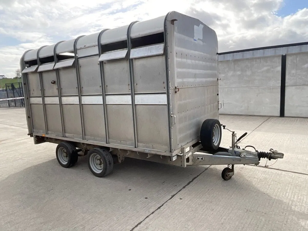 IFOR WILLIAMS TWIN AXLE 3500KGS LIVESTOCK TRAILER - Image 1