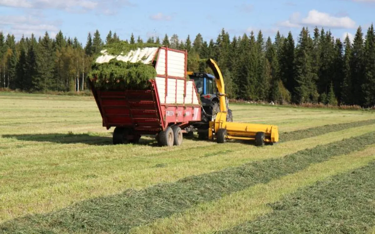 ELHO DC2100s DOUBLE CHOP - Image 3