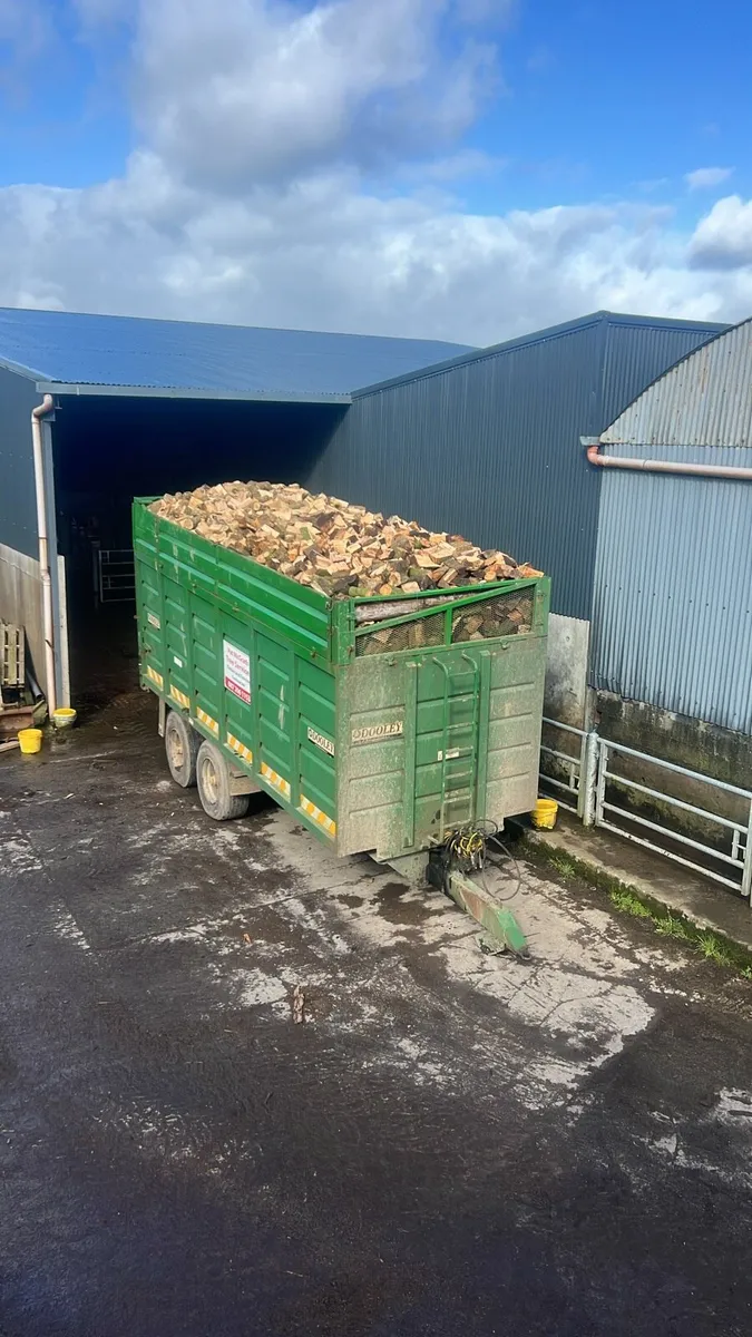 Stove ready hardwood firewood - Image 1