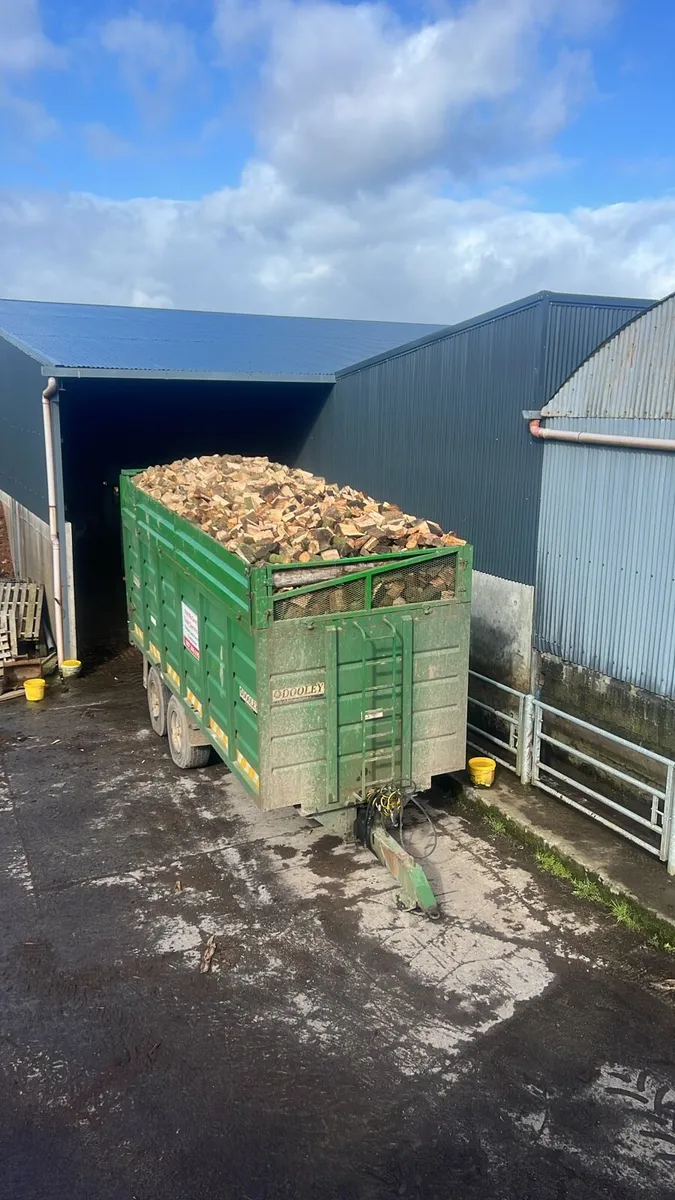 Stove ready hardwood firewood - Image 2
