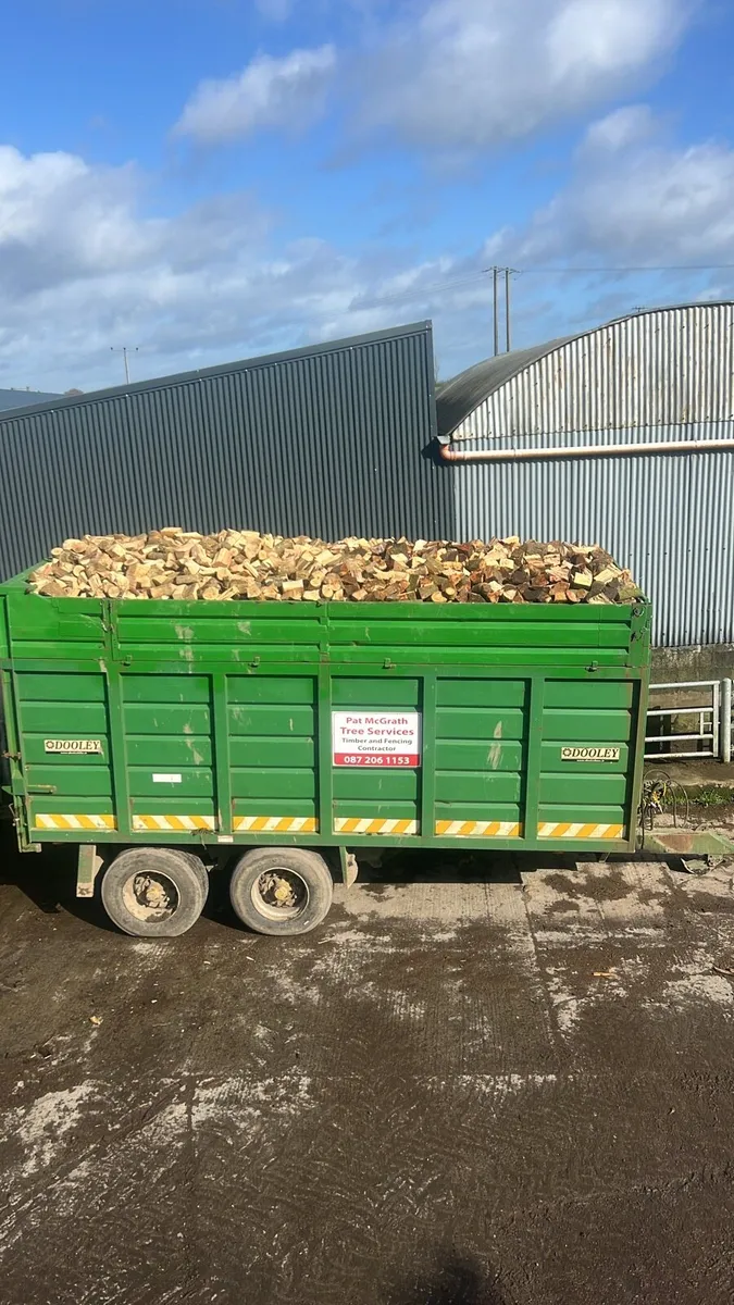 Stove ready hardwood firewood - Image 3