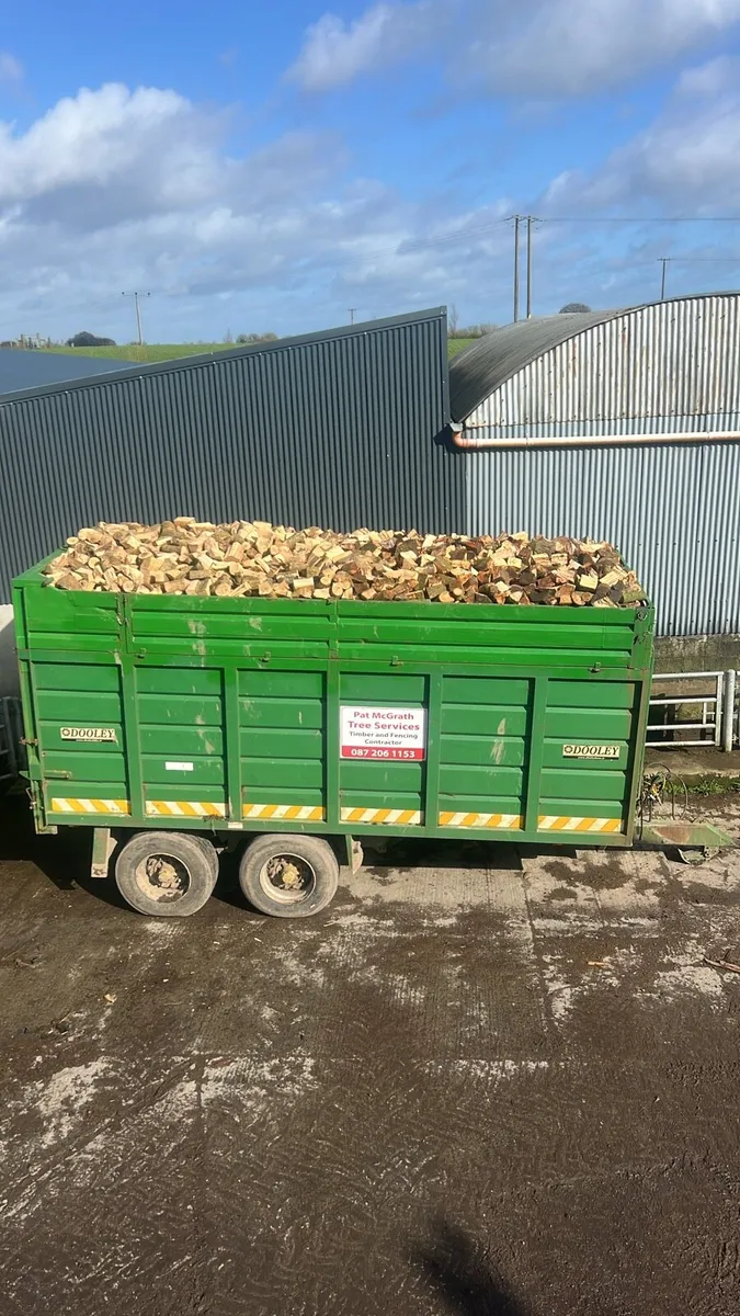 Stove ready hardwood firewood - Image 4