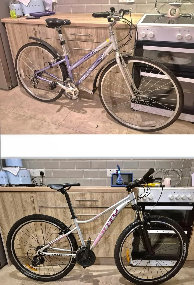 6 ADULTS BIKES AVAILABLE ALL READY TO GO CHEAP - Image 3