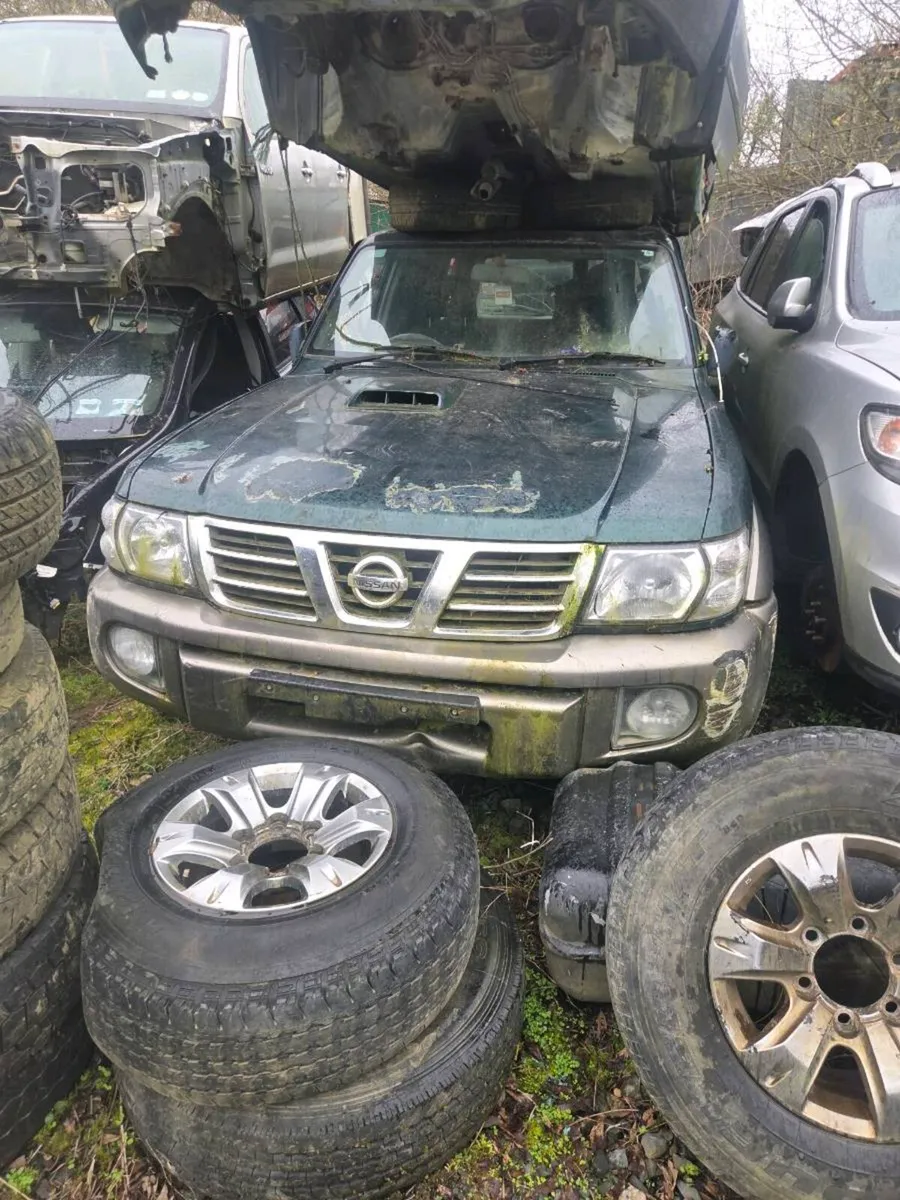 Nissan terran - Image 2