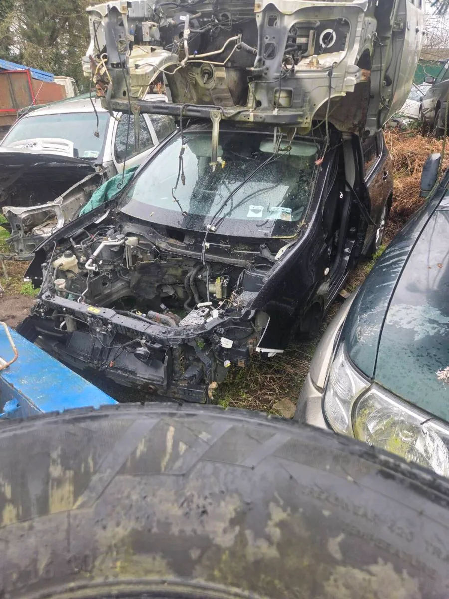 Nissan terran - Image 3