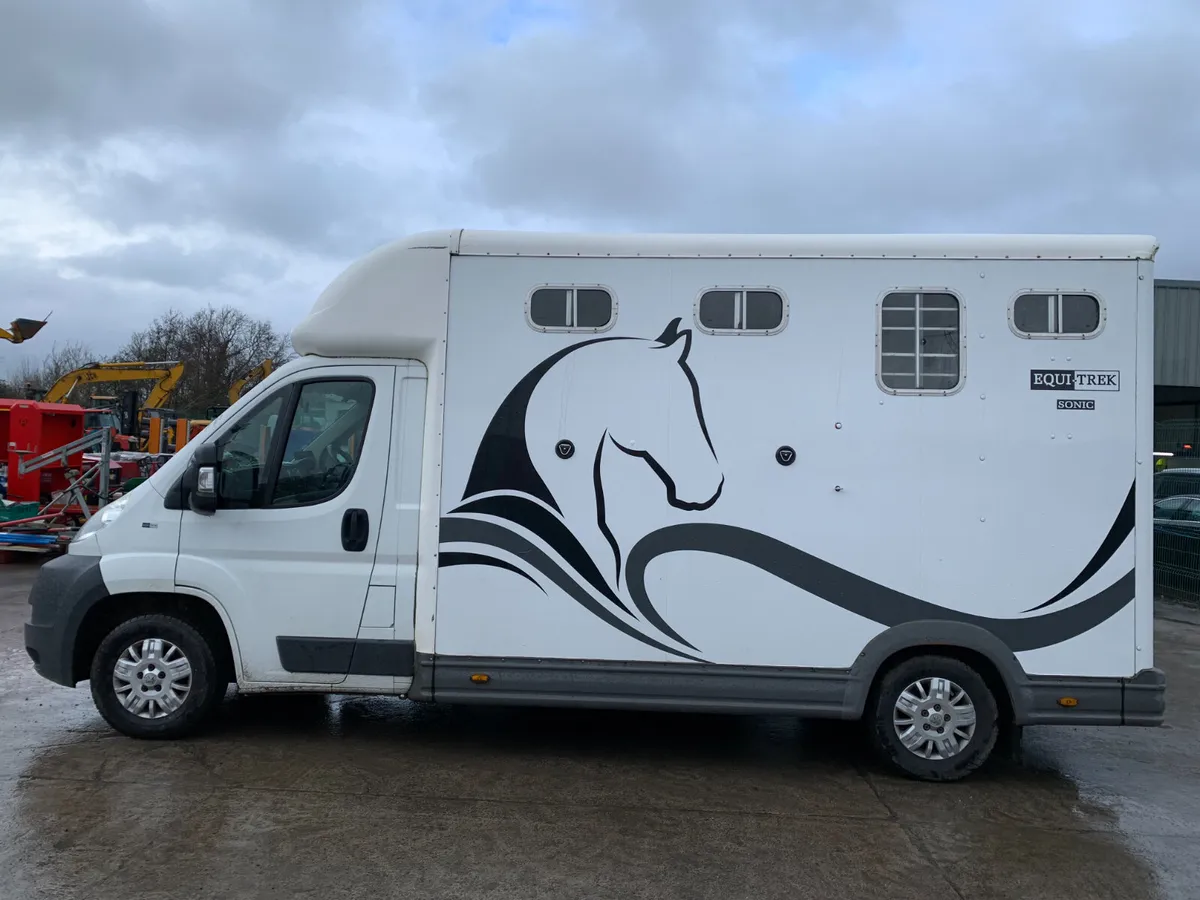 2014 PEUGEOT EQUI-TREK HORSEBOX FOR AUCTION - NAAS - Image 2