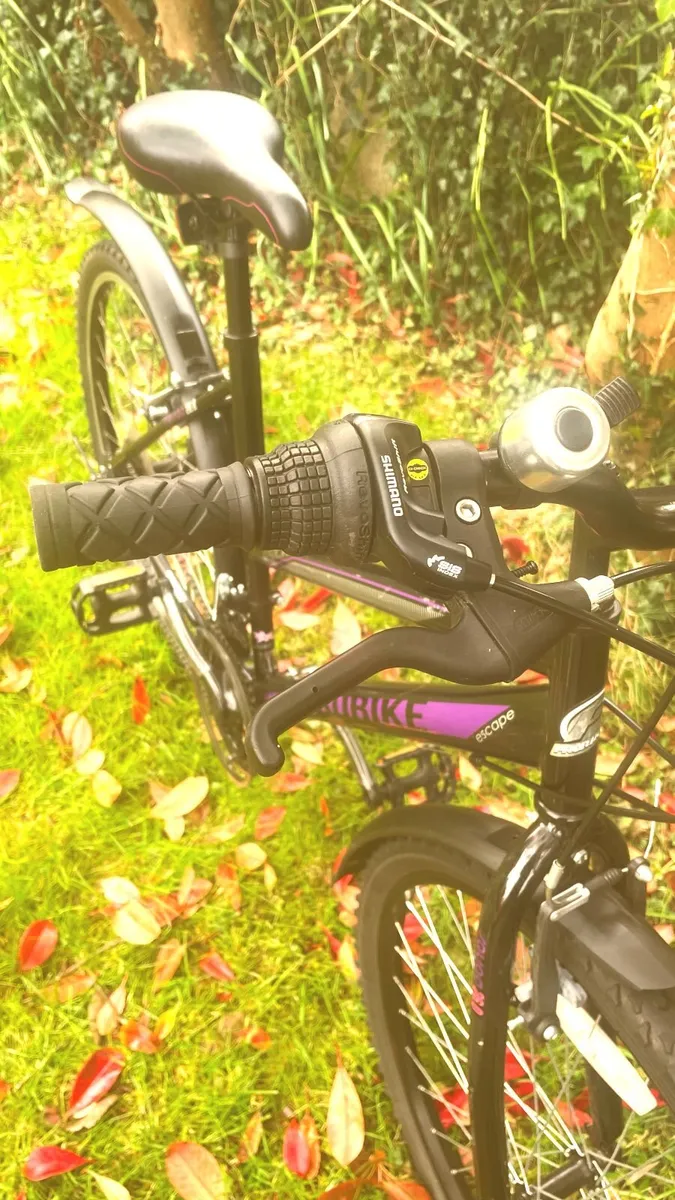 Ladies 26" Bicycle - Image 3