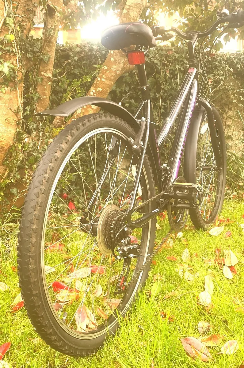 Ladies 26" Bicycle - Image 2