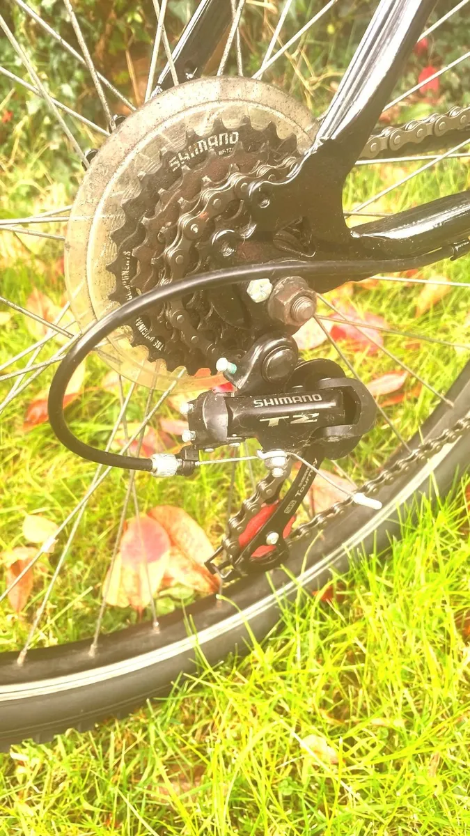 Ladies 26" Bicycle - Image 4