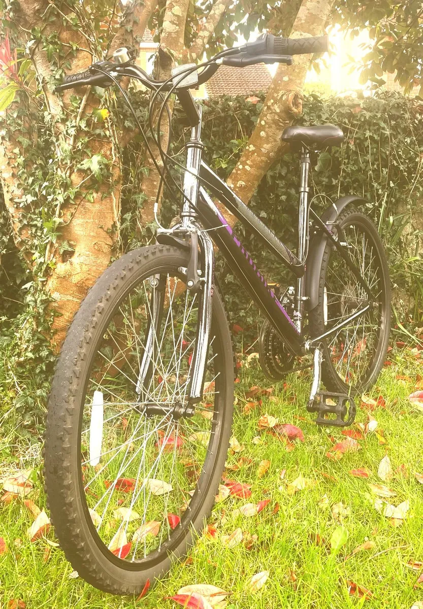 Ladies 26" Bicycle - Image 3