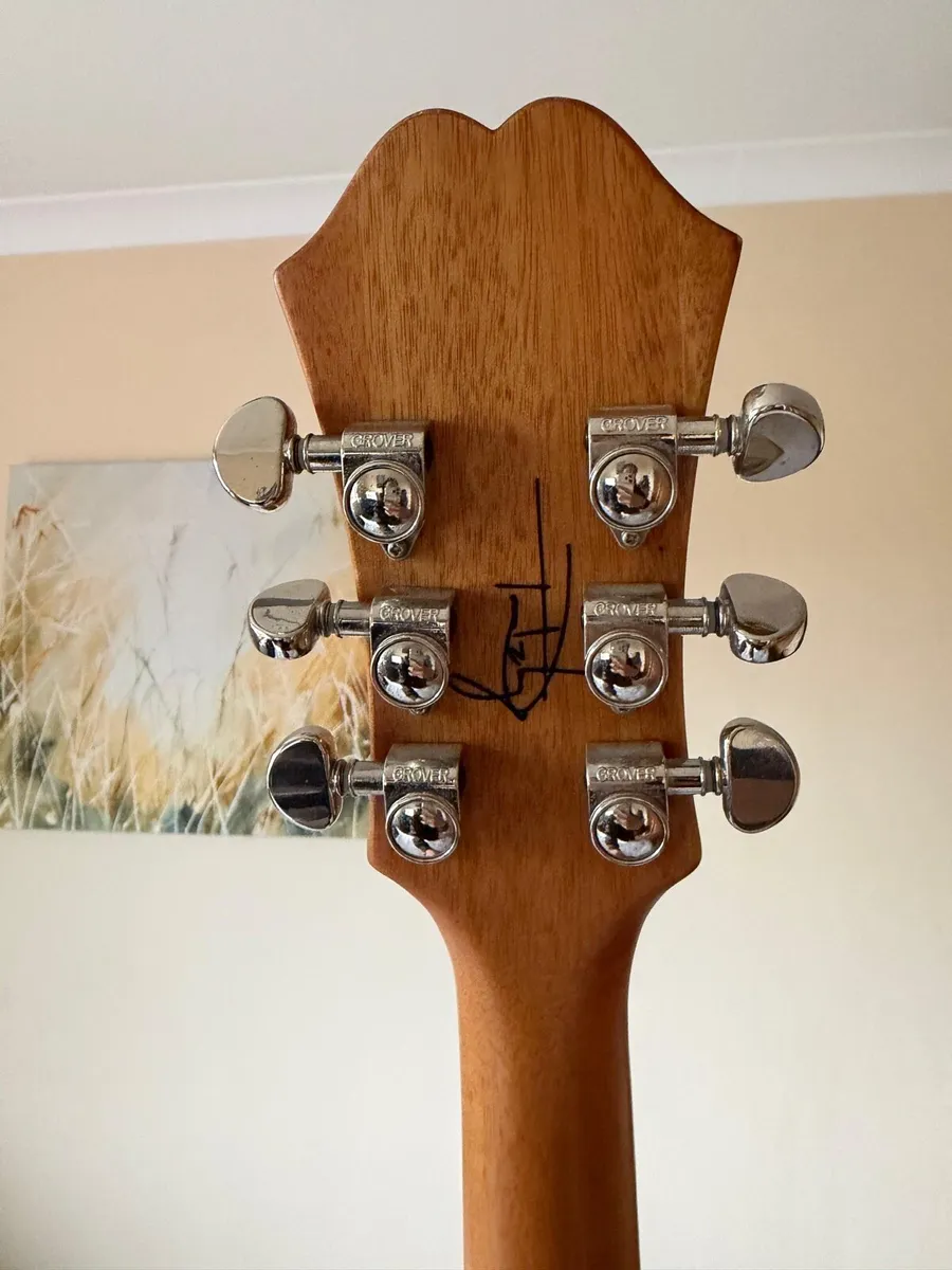 Epiphone Tom Delonge ES333 - Image 4