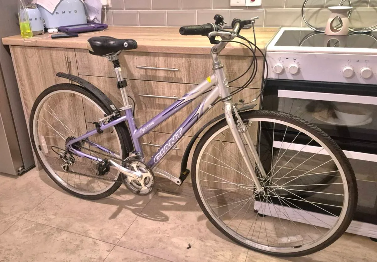 ADULTS GIANT LADIES BIKE LIGHTWEIGHT ALUMINIUM FRA - Image 1