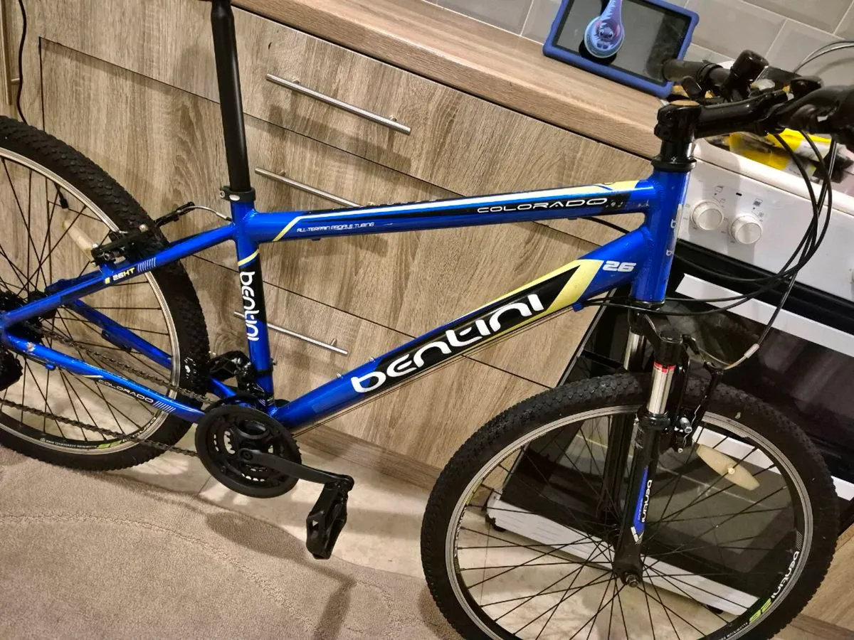 ADULTS BENTINI COLOR MOUNTAIN BIKE 18" FRAME 21 SP - Image 4