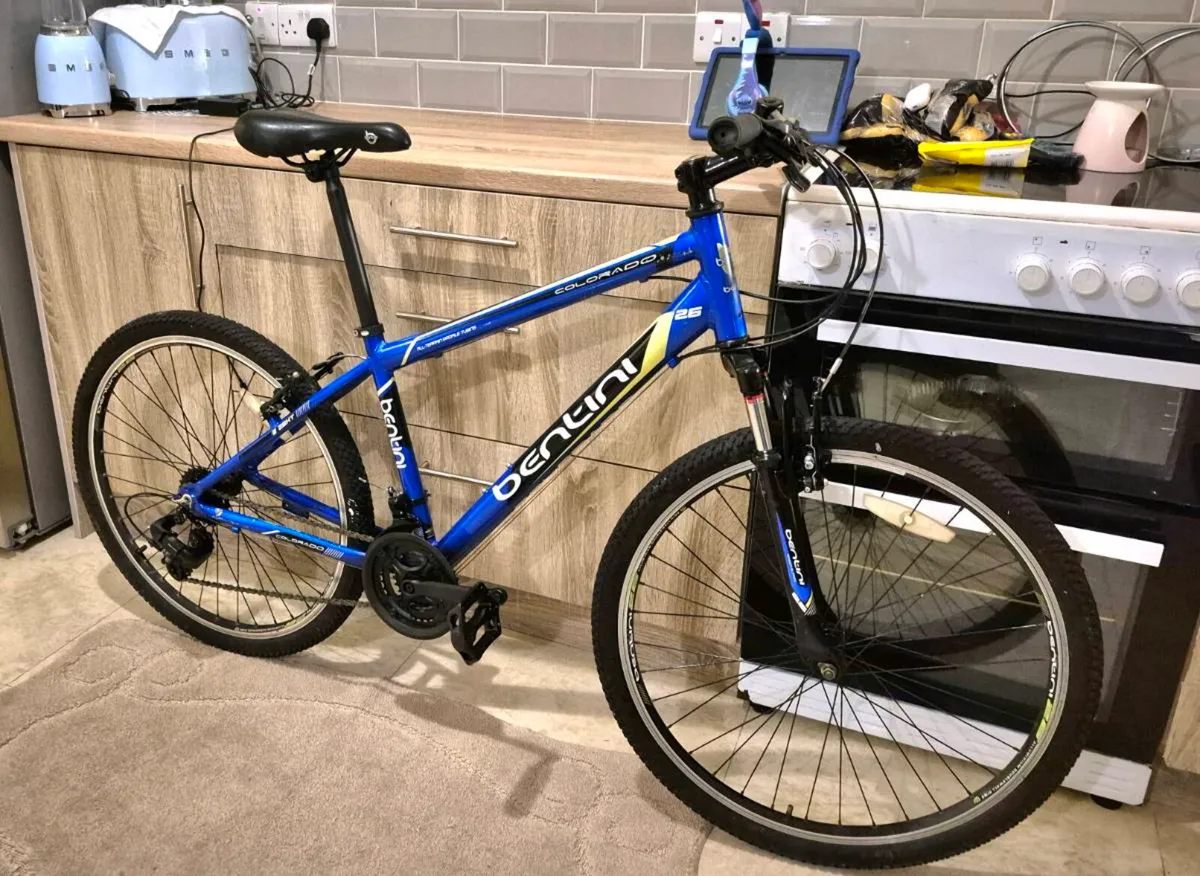 ADULTS BENTINI COLOR MOUNTAIN BIKE 18" FRAME 21 SP - Image 1