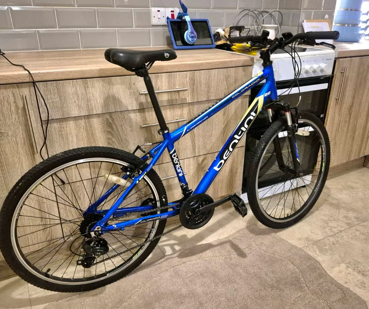 ADULTS BENTINI COLOR MOUNTAIN BIKE 18" FRAME 21 SP - Image 2