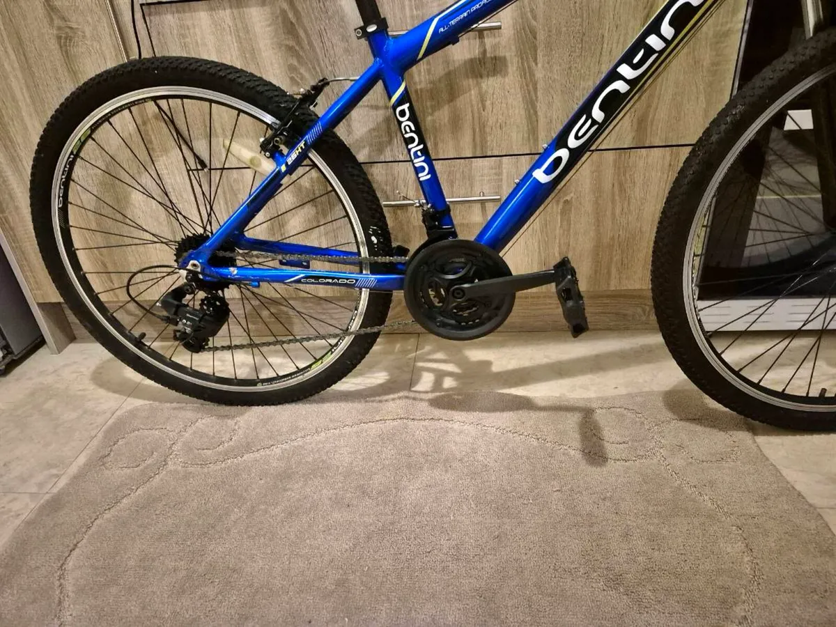 ADULTS BENTINI COLOR MOUNTAIN BIKE 18" FRAME 21 SP - Image 3