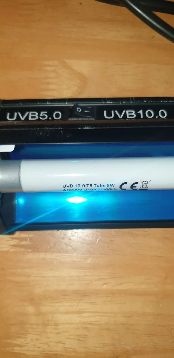 Reptile heat lamp with cage, and t5 uvb - Image 4