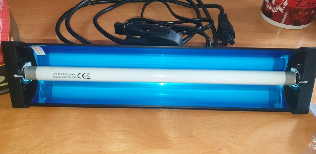 Reptile heat lamp with cage, and t5 uvb - Image 2