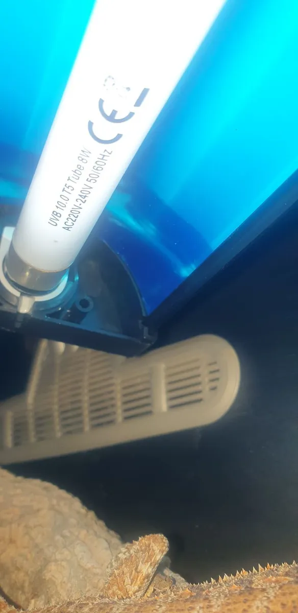 Reptile heat lamp with cage, and t5 uvb - Image 3