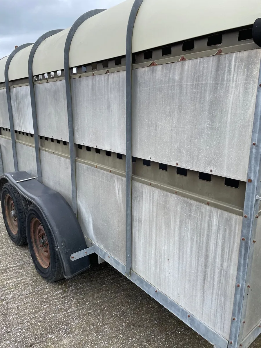 Cattle Trailer - Image 2
