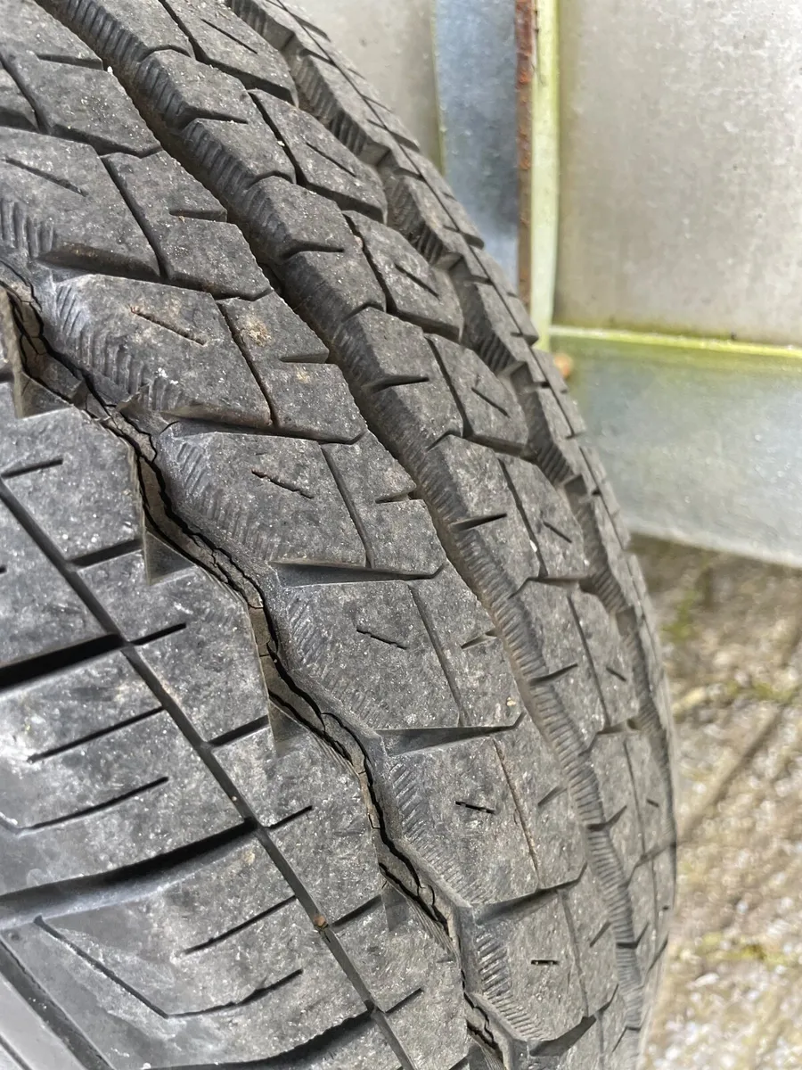 Cattle Trailer - Image 3