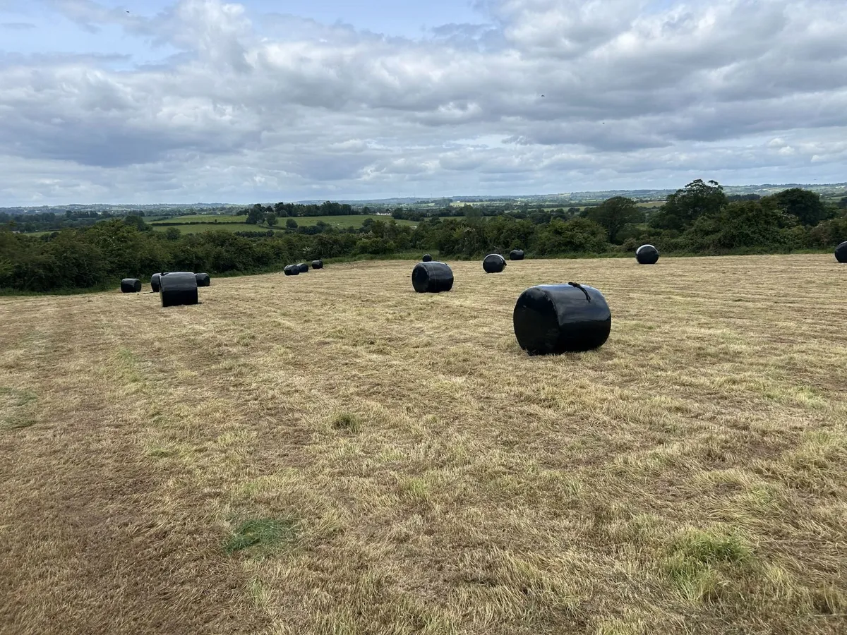 Silage Bales - Image 3