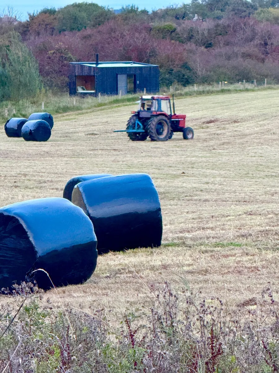 Round Bales Haylage