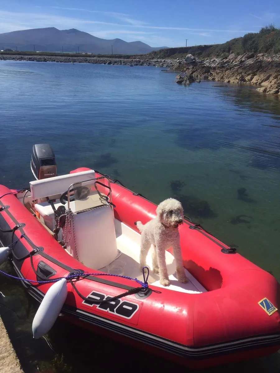 Zodiac 480 Rib - Image 1